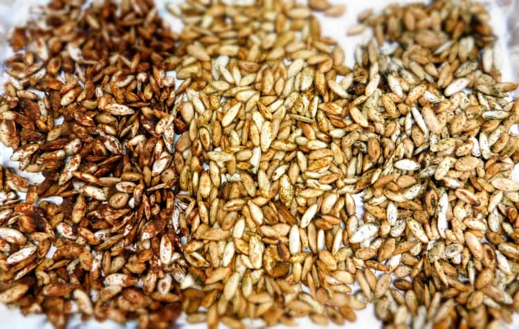 Three flavors of roasted pumpkin seeds side by side on a foil-lined baking sheet