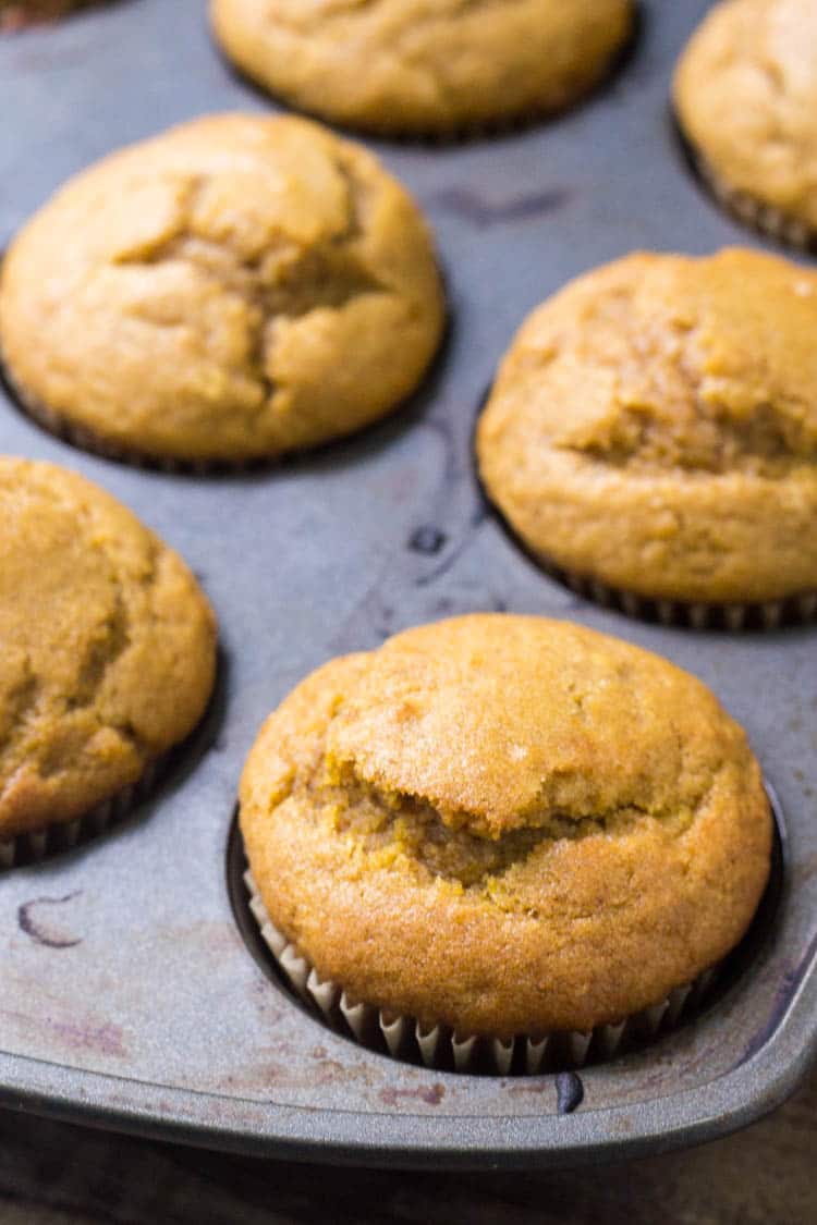 pumpkin muffins in a baking pan