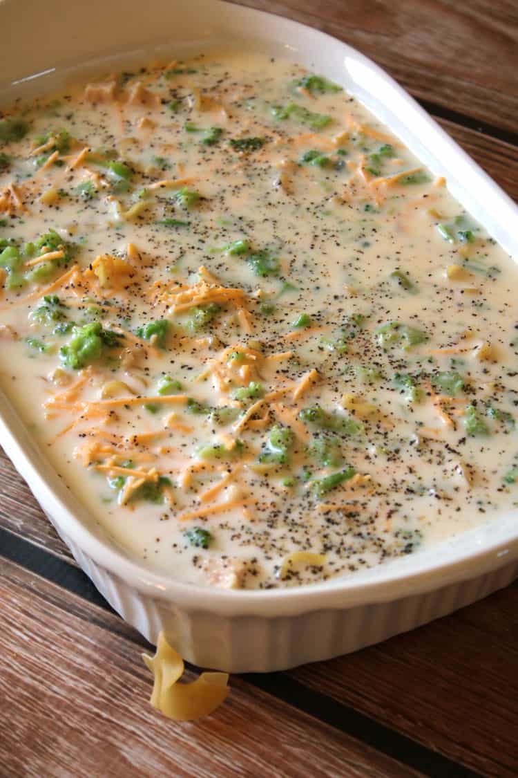 Chicken Broccoli Noodle Casserole | Easy Dinner | All She ...