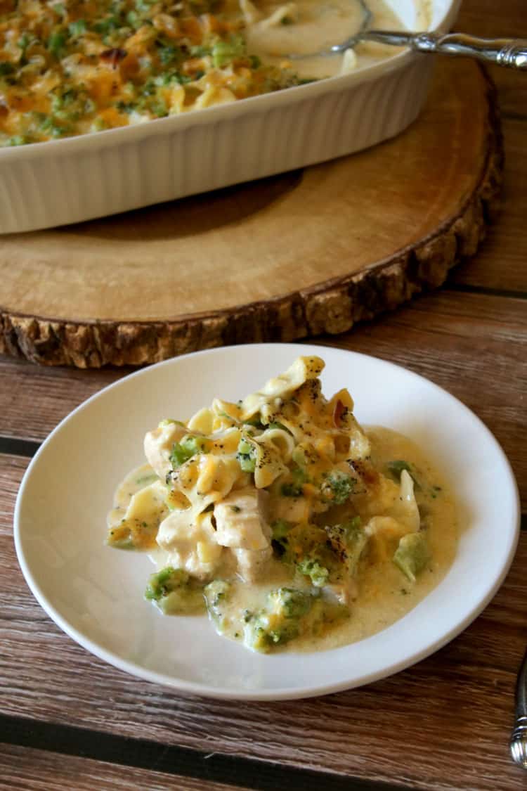 Chicken Broccoli Noodle Casserole | Easy Dinner | All She ...