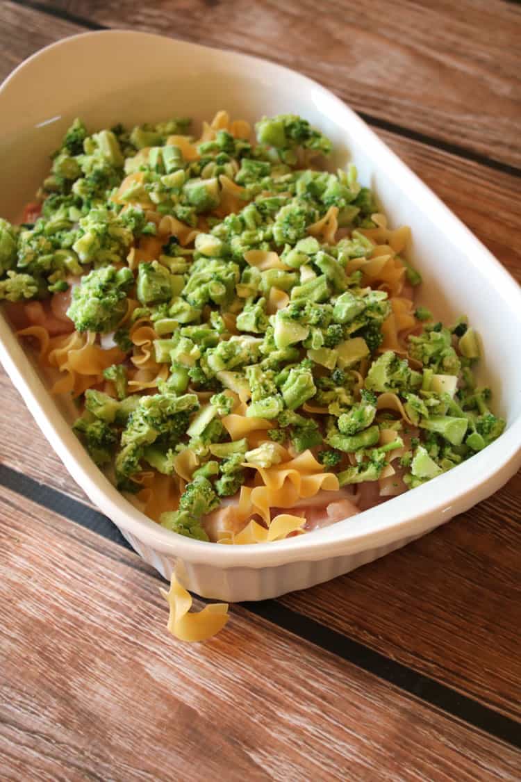 Chicken Broccoli Noodle Casserole  Easy Dinner Recipe