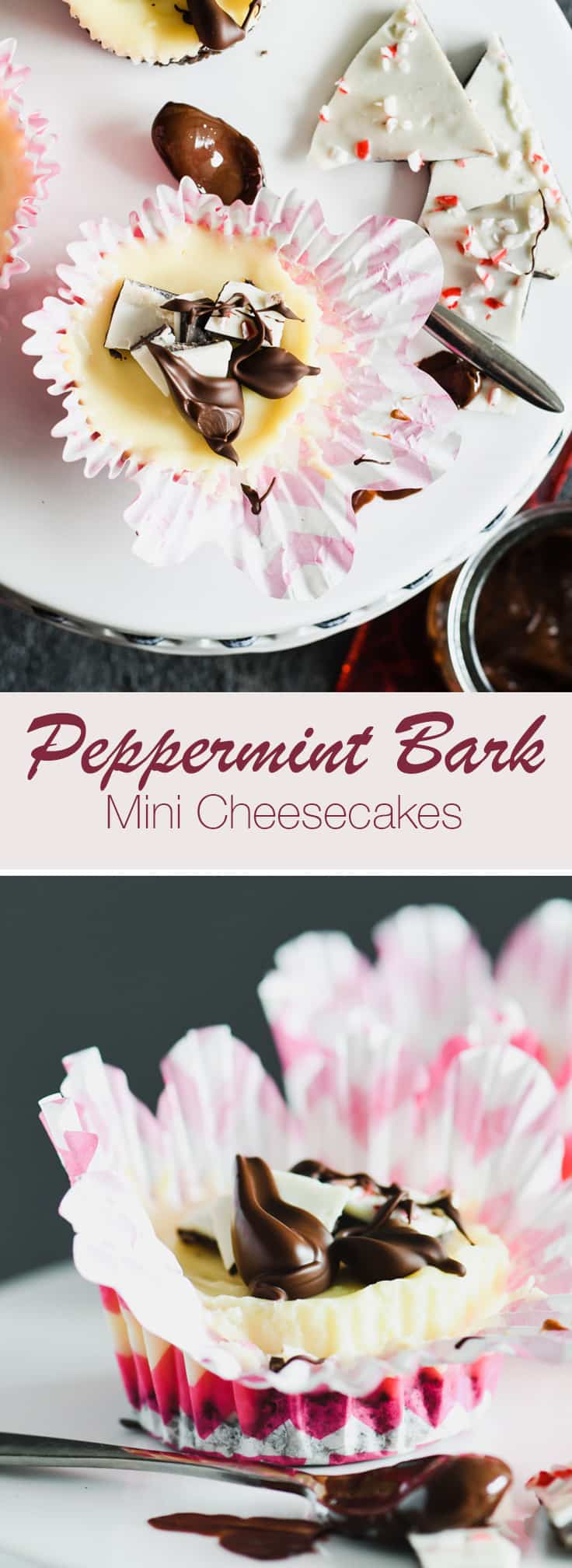 These Peppermint Bark Mini Cheesecakes are the perfect dessert for a holiday gathering.