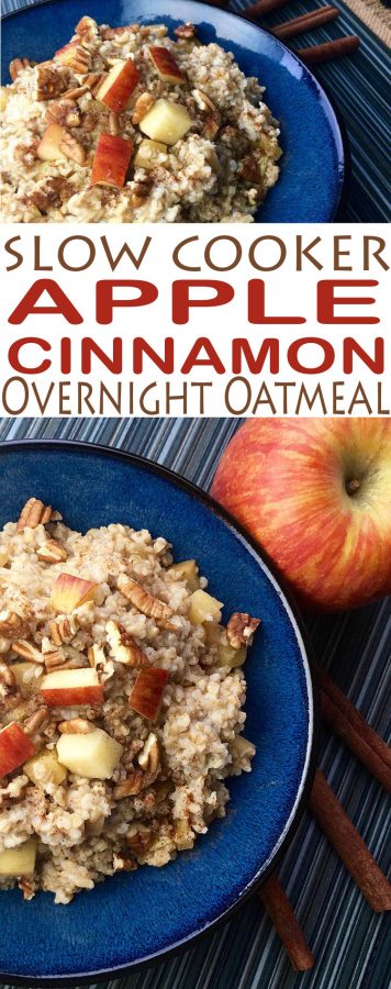 Slow Cooker Apple Cinnamon Oatmeal - All She Cooks