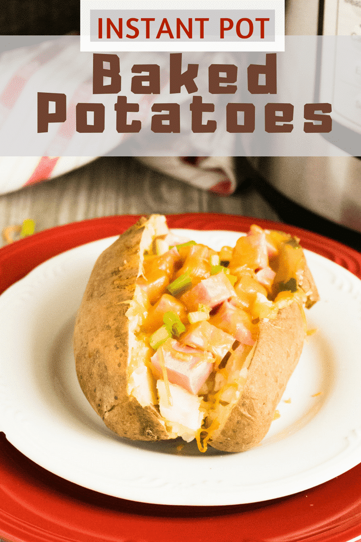 This Instant Pot Baked Potatoes recipe is SO quick and easy! Thanks to the Instant Pot, perfectly cooked baked potatoes will be ready in just 20 minutes! Whether you serve them as a side dish, or fill with tasty toppings to make a complete meal, you'll never want to make them any other way! #instantpot #potatoes #instantpotbakedpotatoes #easybakedpotatoes #quickbakedpotatoes #instantpotrecipes