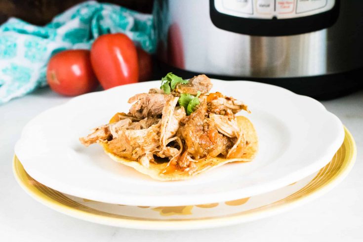 Instant Pot Pork Carnitas
