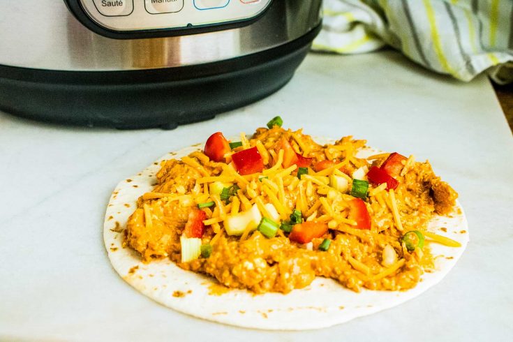 Instant Pot Buffalo Chicken Dip