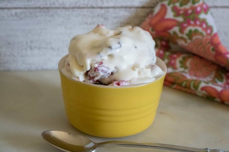 Raspberry Chocolate Chunk No-Churn Ice Cream