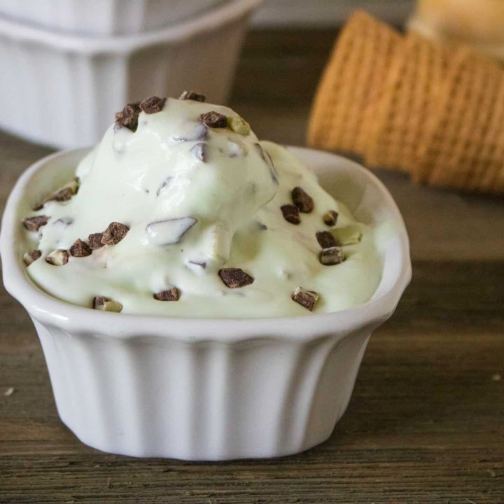 one scoop of mint chip no-churn ice cream served in a white square dessert dish