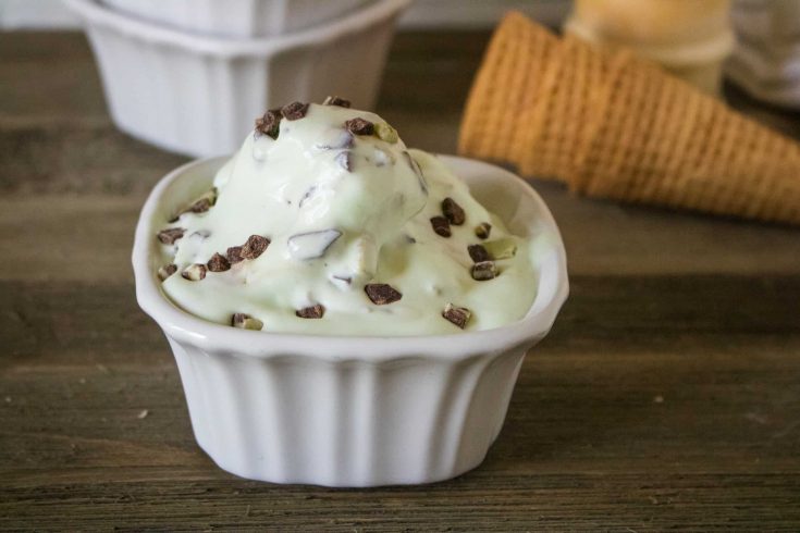 Mint Chip No-Churn Easy Homemade Ice Cream