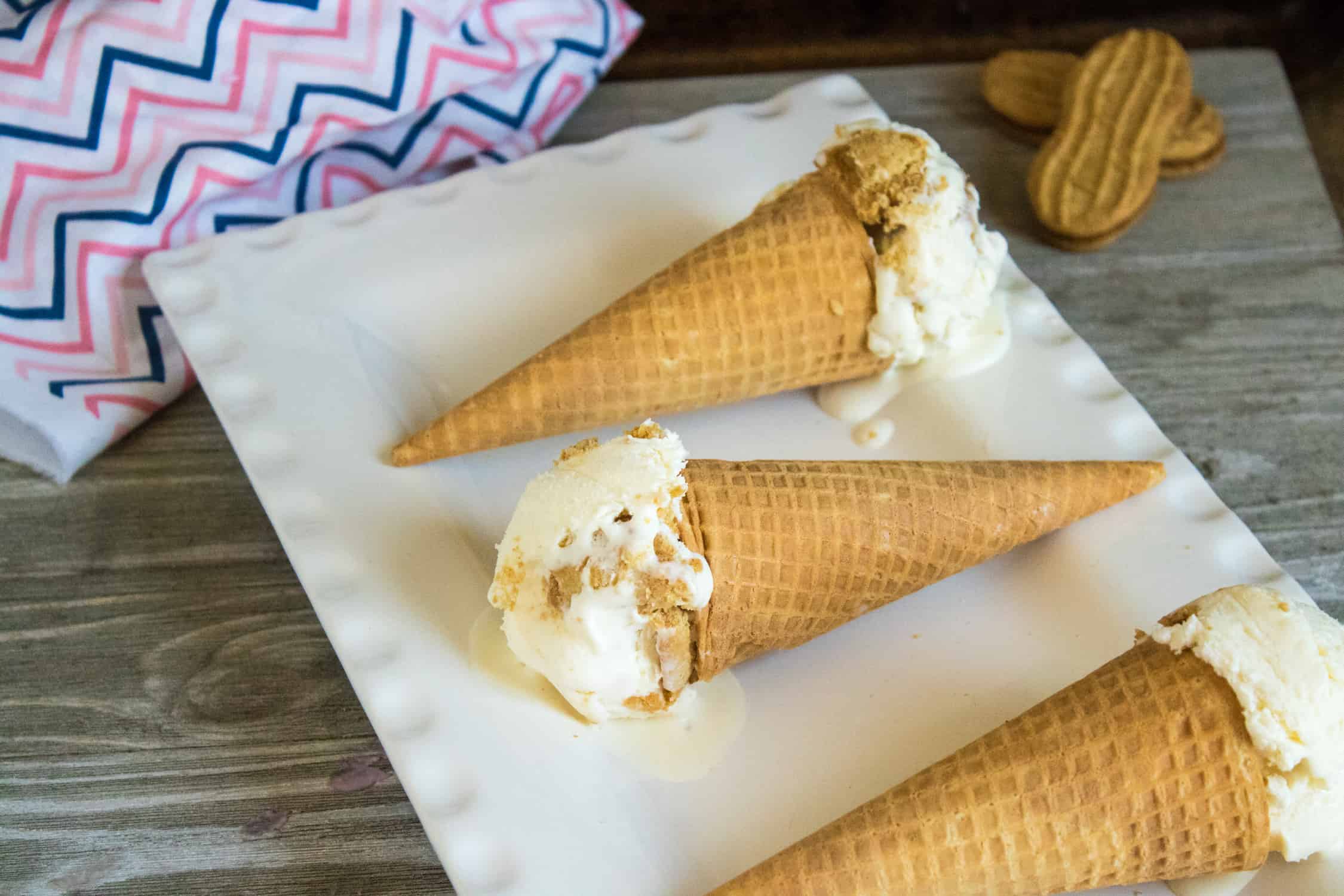 Nutterbuddy Ice Cream Recipe