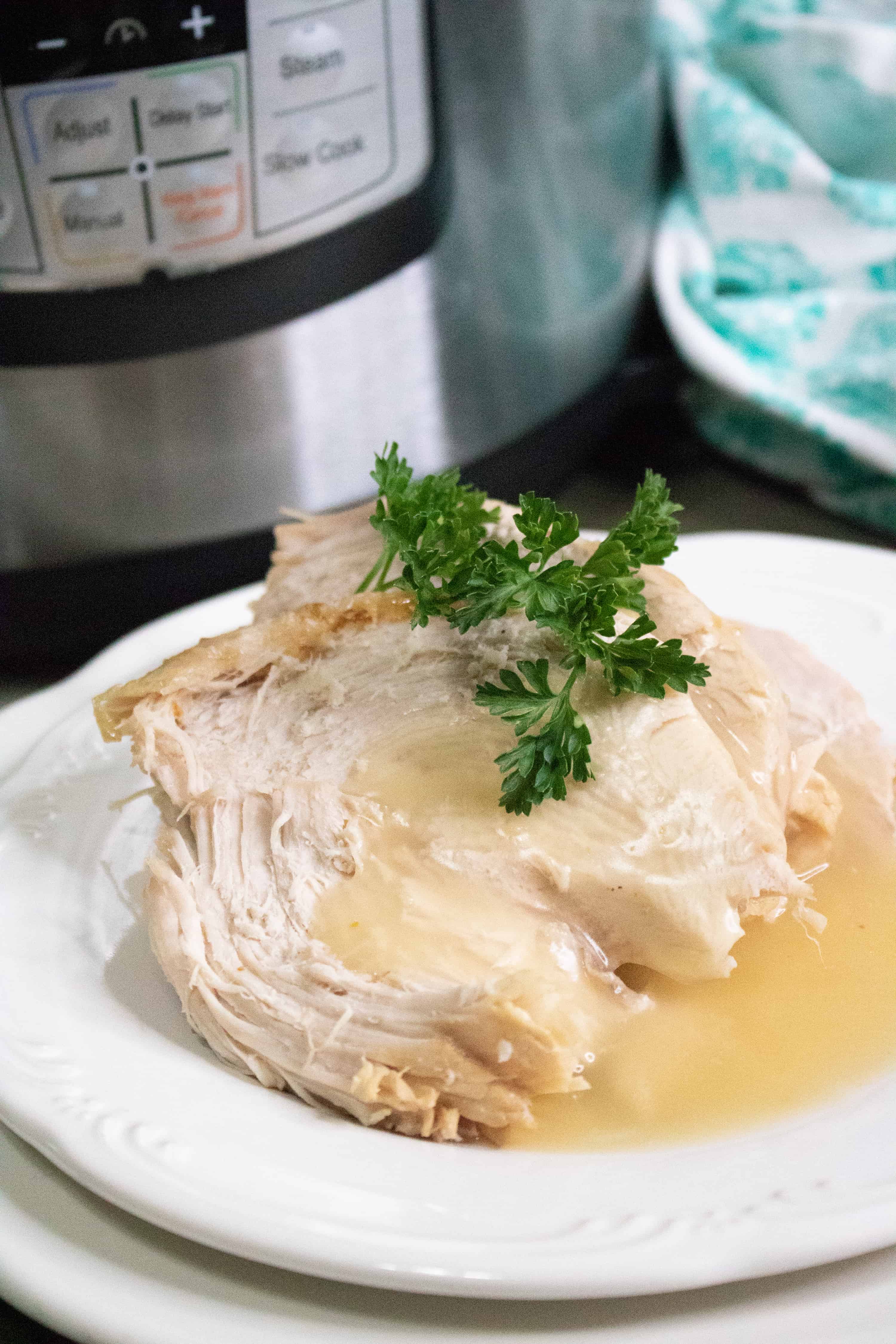 white poultry meat with gravy on a white plate