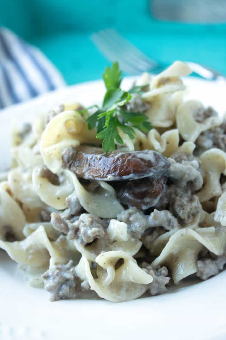 hamburger stoganoff on a white plate with a blue background