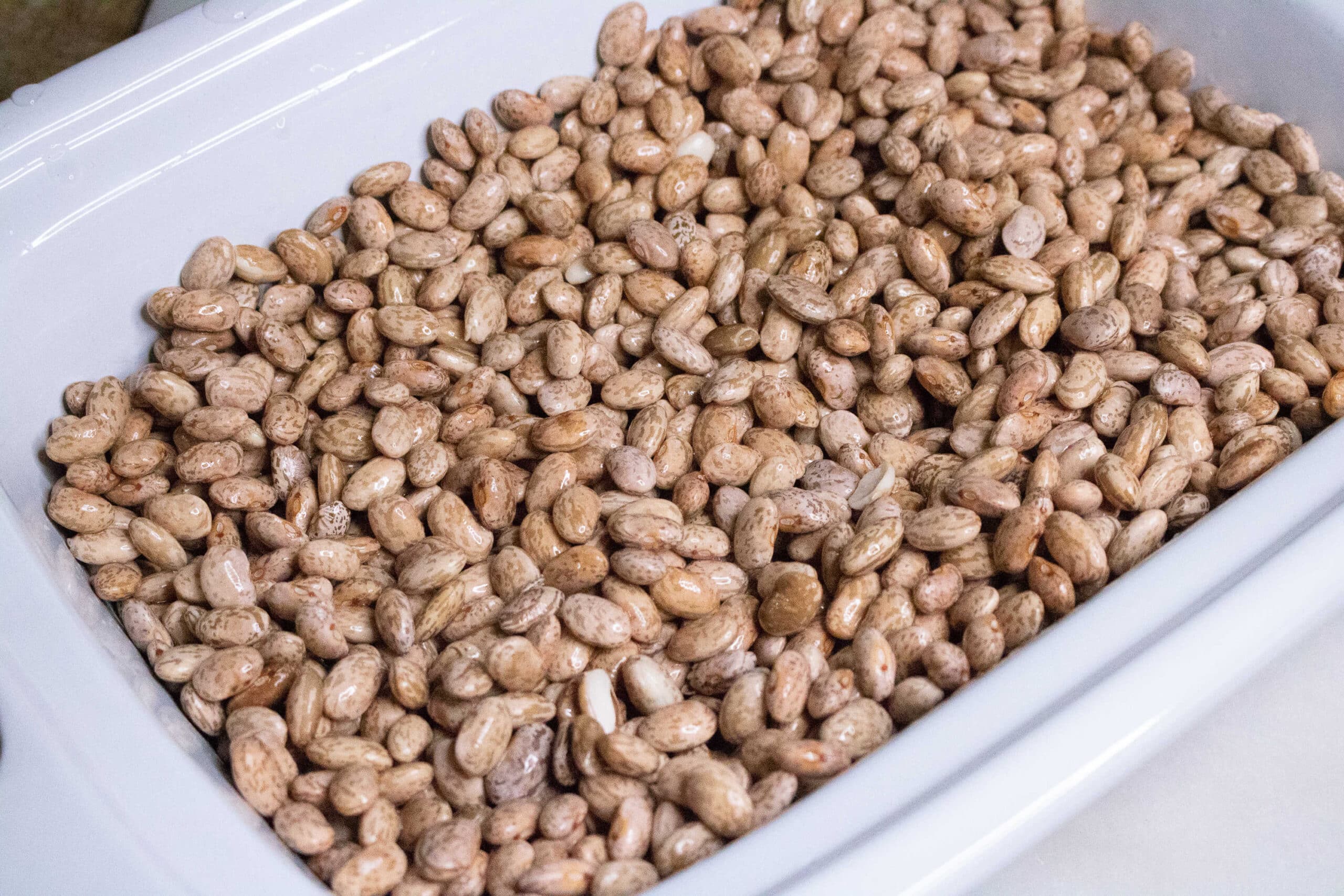 pinto beans for Slow Cooker Pinto Beans in a pan 