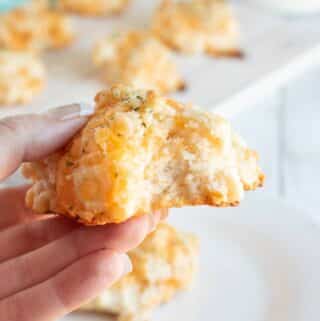 Hand holding one Red Lobster Copycat Cheddar Biscuit