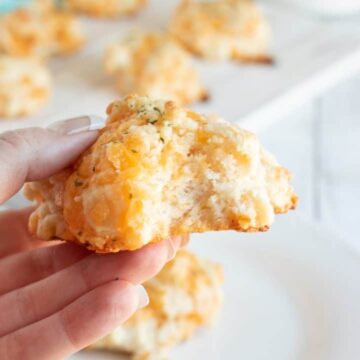 copycat red lobster cheddar biscuits in hand