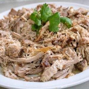 pulled pork on white oval plate
