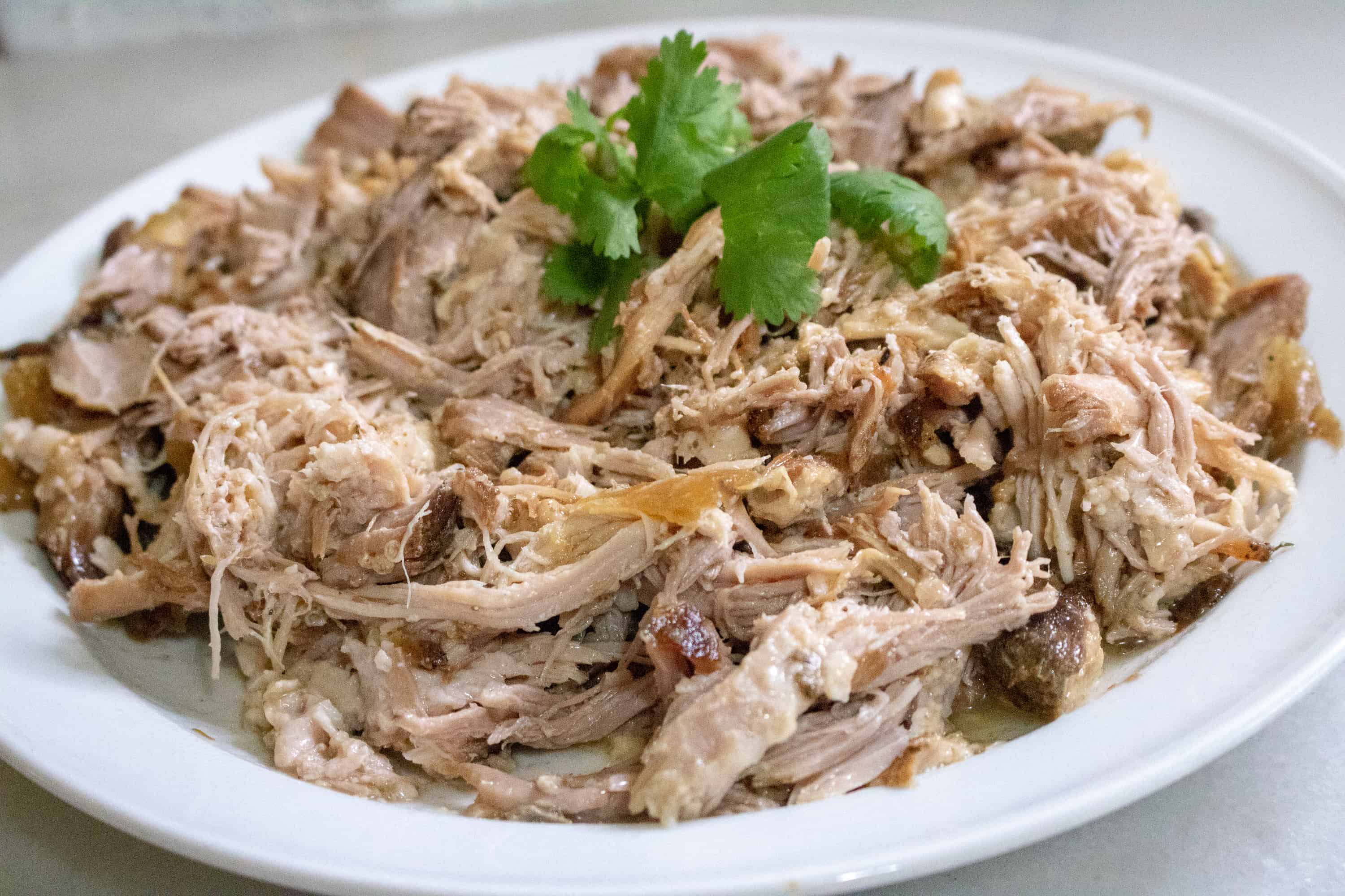pulled pork on white oval plate