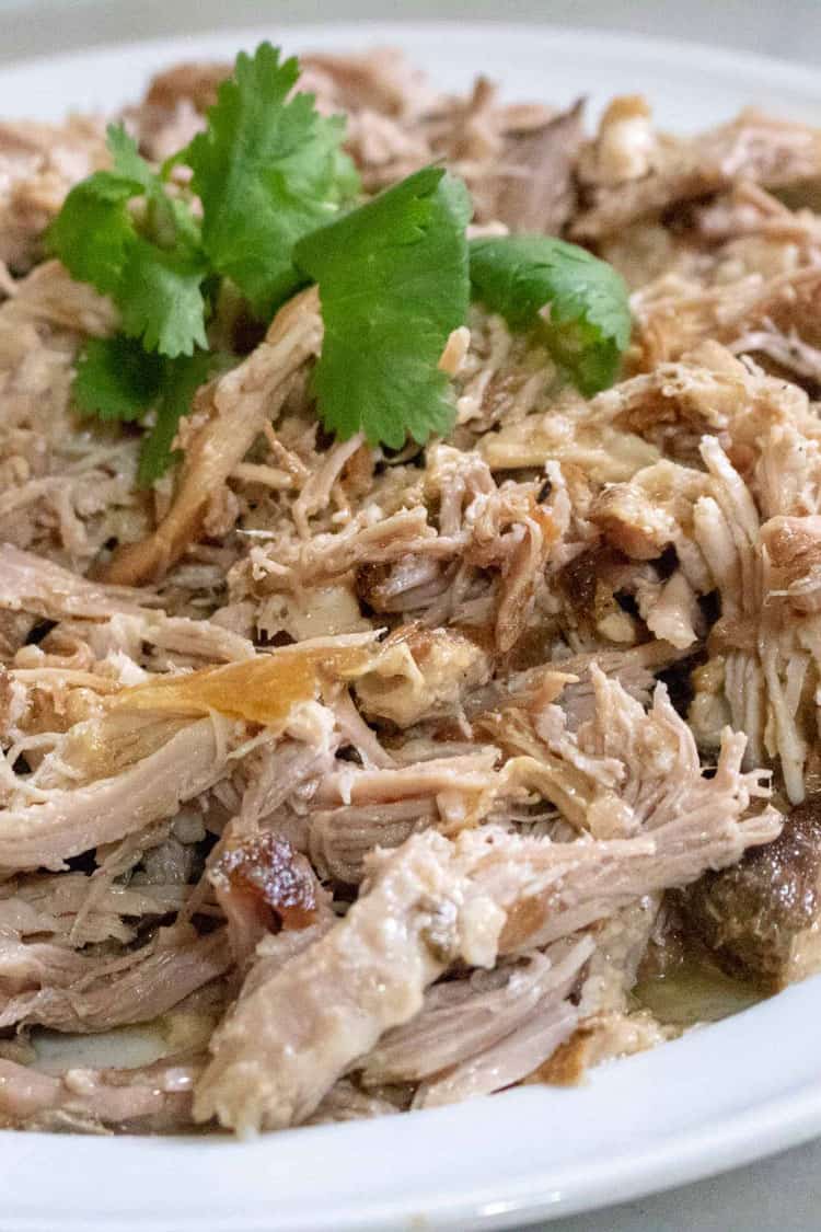 closeup photo of shredded pulled pork topped with cilantro