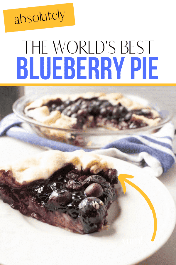 collage with picture of blueberry pie on top and slice of blueberry pie on white plate The words: The Worlds Best Blueberry Pie are printed at the top of the photo collage.