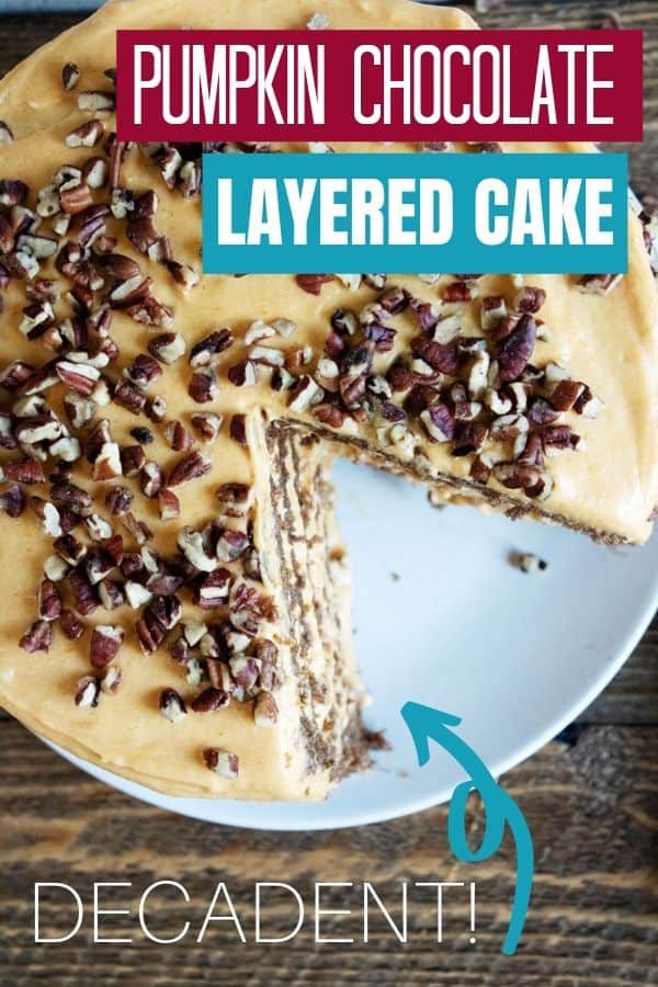 Pumpkin chocolate layered cake Pinterest graphic shown from overhead with pecans