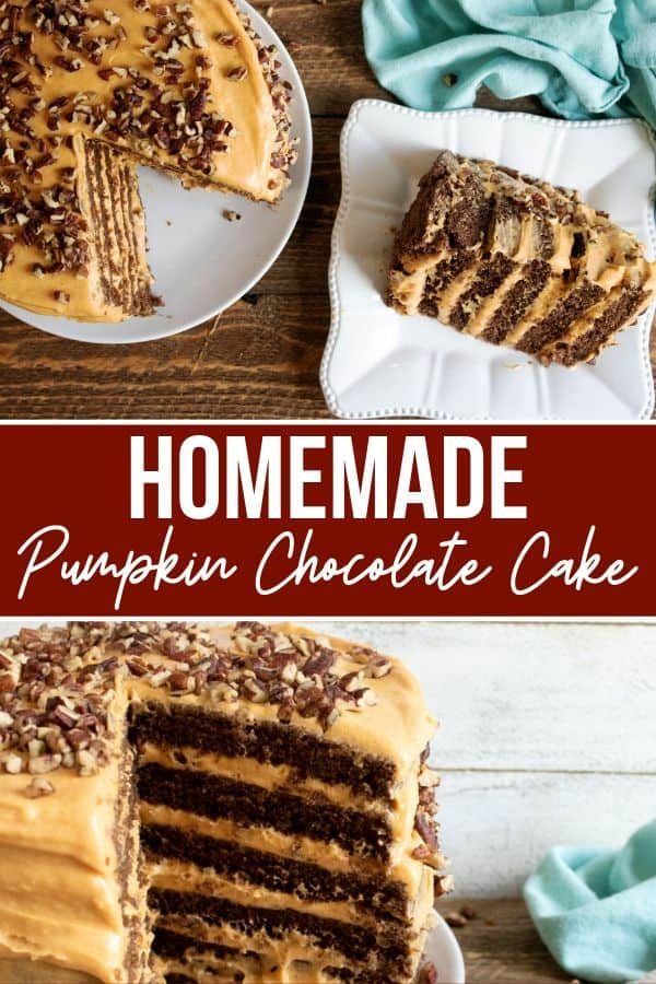 Homemade pumpkin chocolate cake Pinterest graphic with a slice and the cut cake