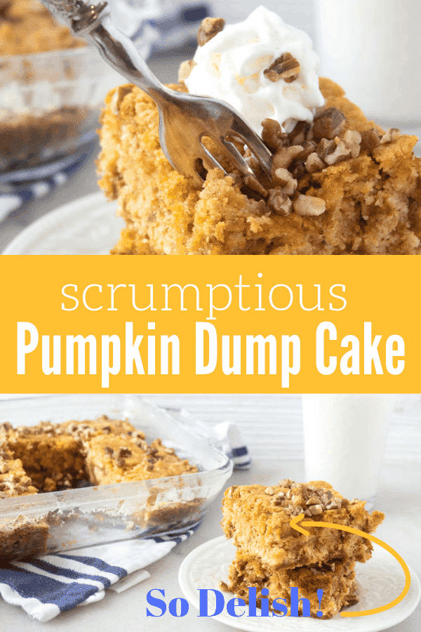 photo collage with two photos of pumpkin dump cake on a white plate with the words 'scrumptious pumpkin dump cake' between them