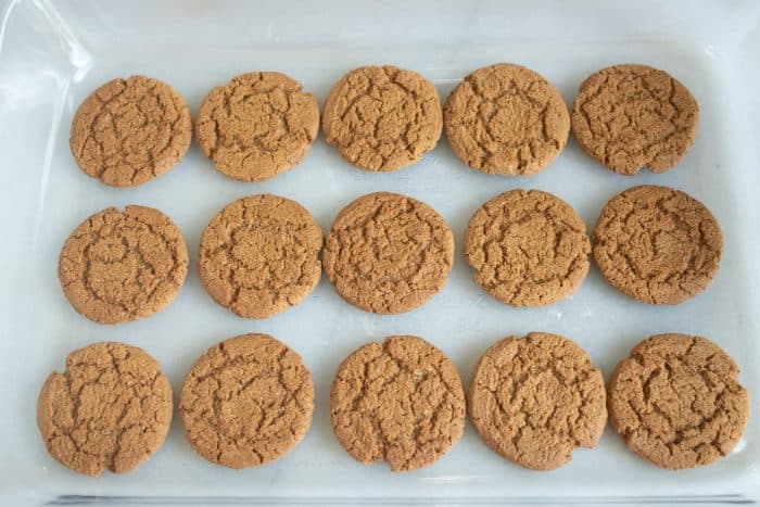 gingersnap cookies laid out in 9x13 pan