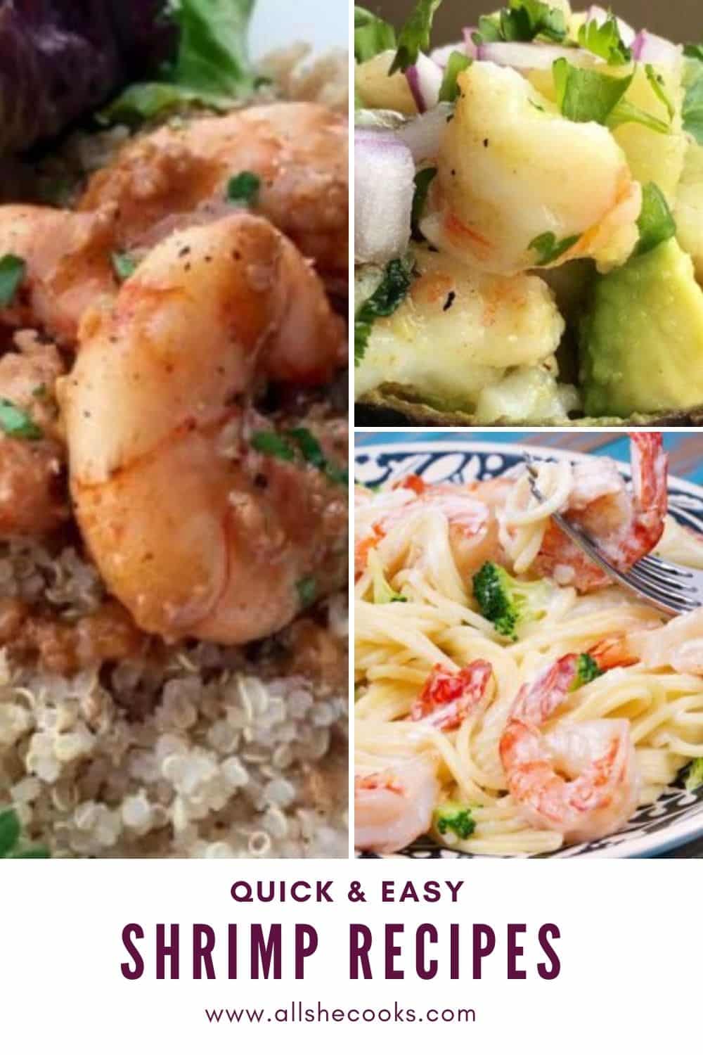 Easy Shrimp Recipes You’ll Want To Try - All She Cooks