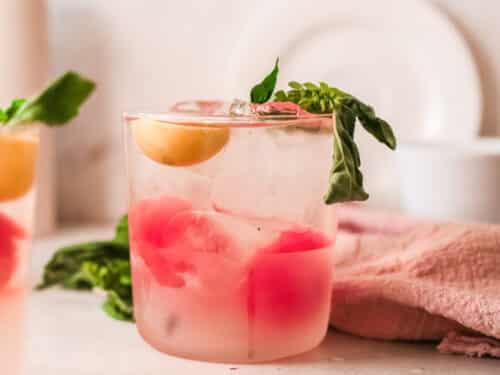 Fizzy Watermelon Mocktail