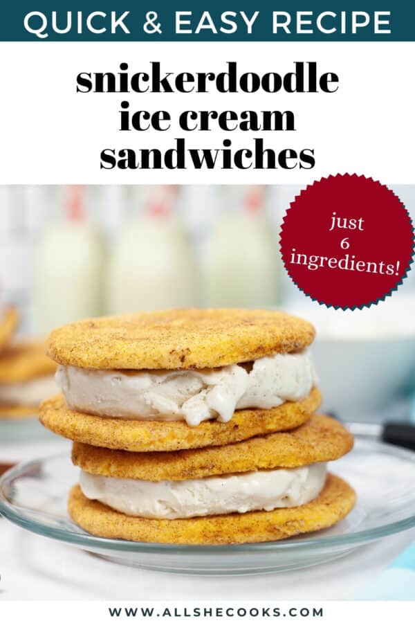 Snickerdoodle Ice Cream Sandwiches