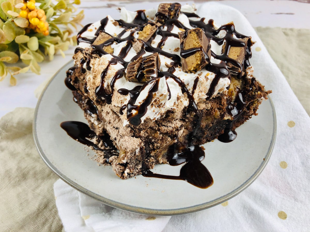 slice of chocolate peanut butter cake on a nice plate sitting on a table