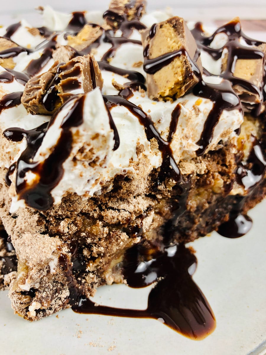 chocolate peanut butter cake close up slice