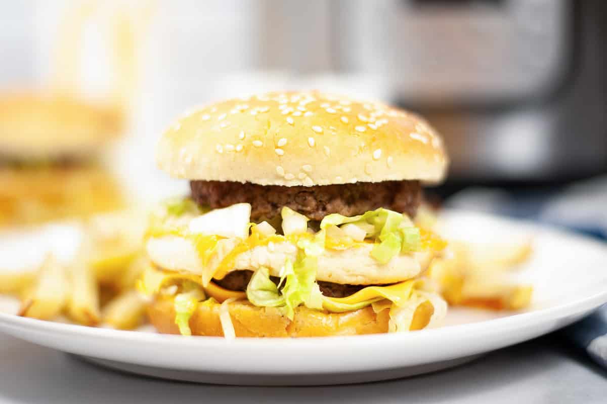 side view of instant pot burger on plate with fries in background