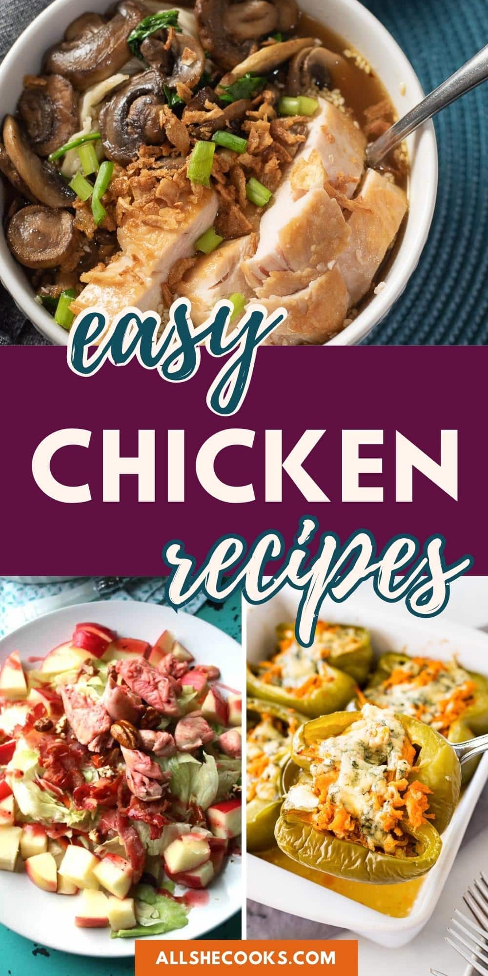 25+ Easy Family-Friendly Chicken Recipes - All She Cooks