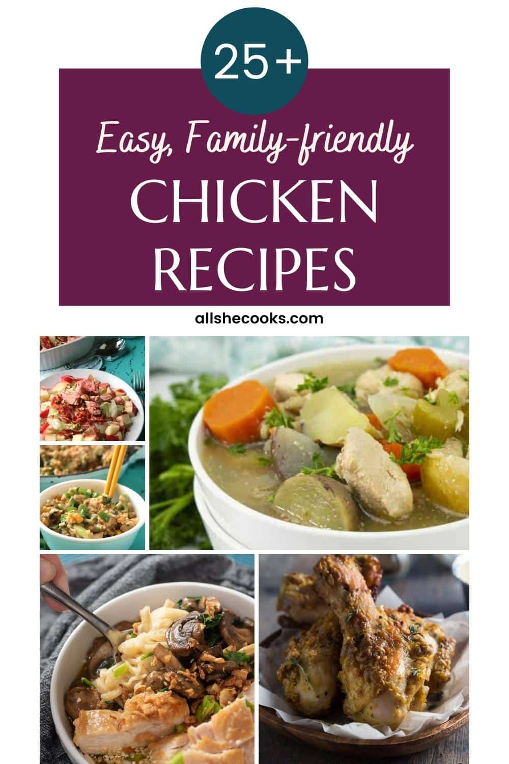 25+ Easy Family-Friendly Chicken Recipes - All She Cooks