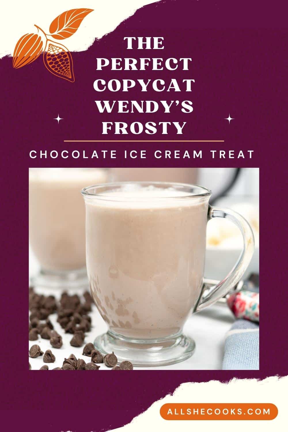 The Perfect Copycat Wendy S Frosty All She Cooks   The Perfect Copycat Wendys Frosty 1000x 1500 Pin1 