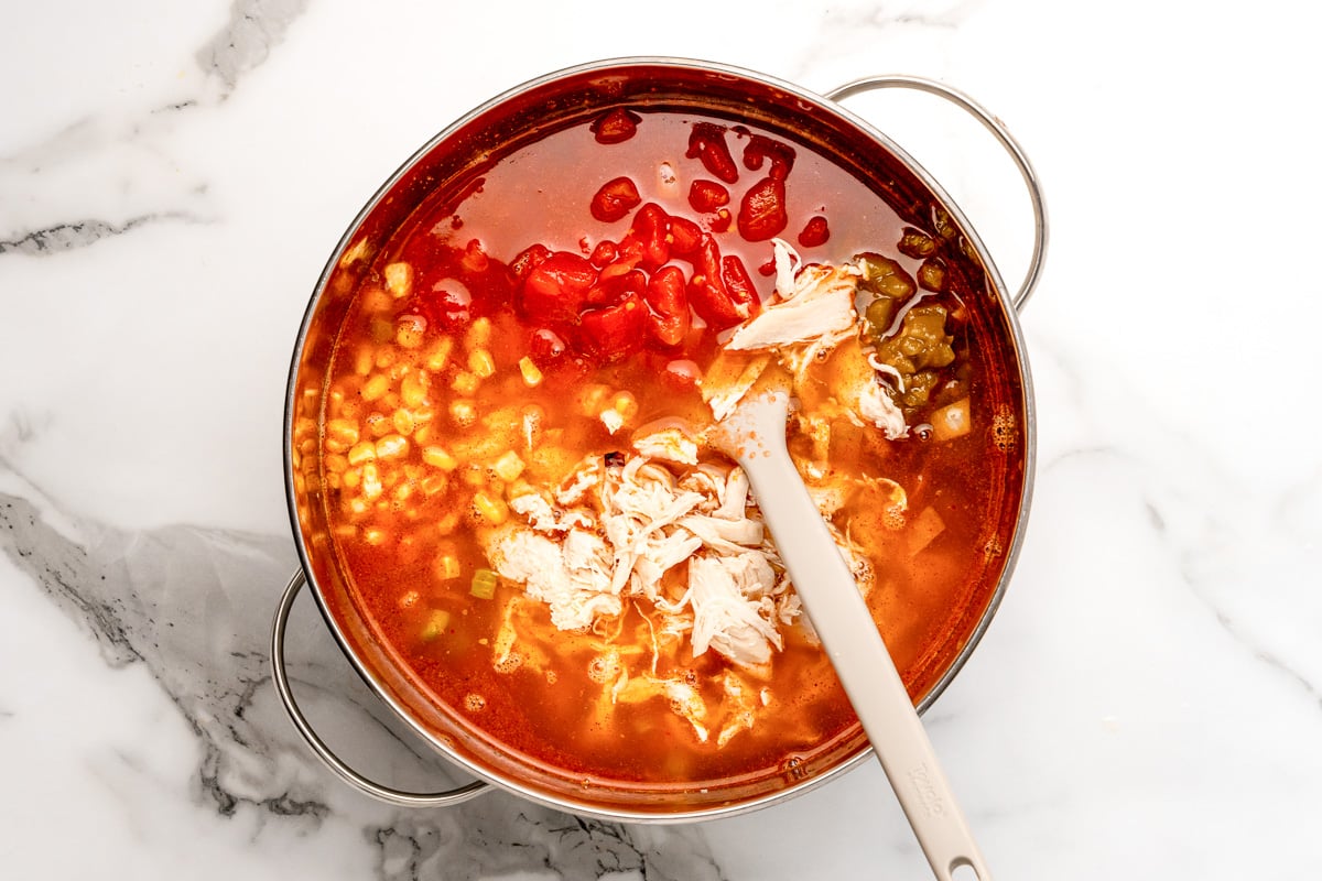 Chili's Southwest Chicken Soup (Copycat Recipe!) All She Cooks