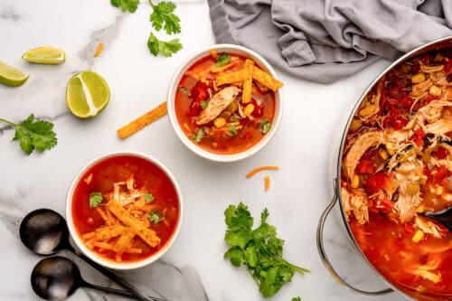 southwest chicken soup vs enchilada soup
