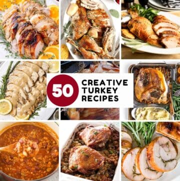 50 thanksgiving turkey recipes