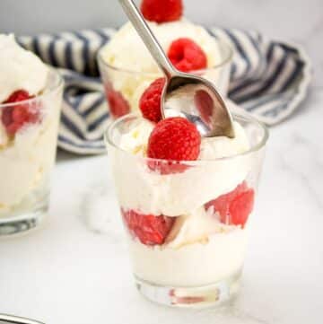 no churn vanilla bean ice cream