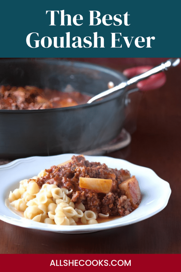 The Best Goulash Ever served over shell pasta with the pan in the background