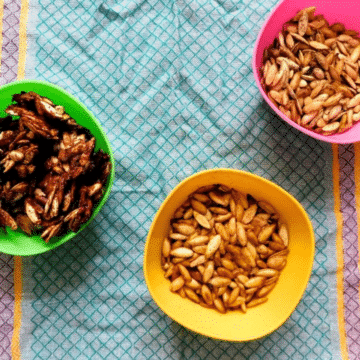 Three bowls of roasted pumpkin seeds in maple pumpkin spice, Indian-spiced, and dill vinegar flavors